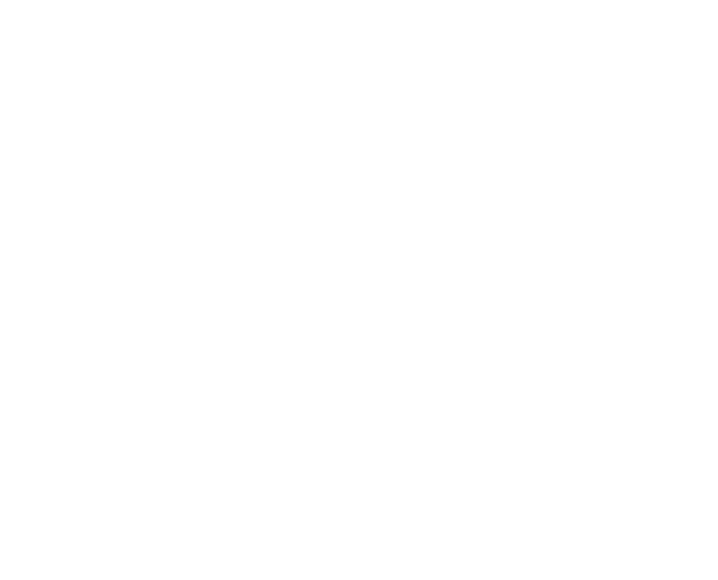 hse.fm
